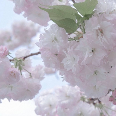 兽设色彩渐变技巧Furry群